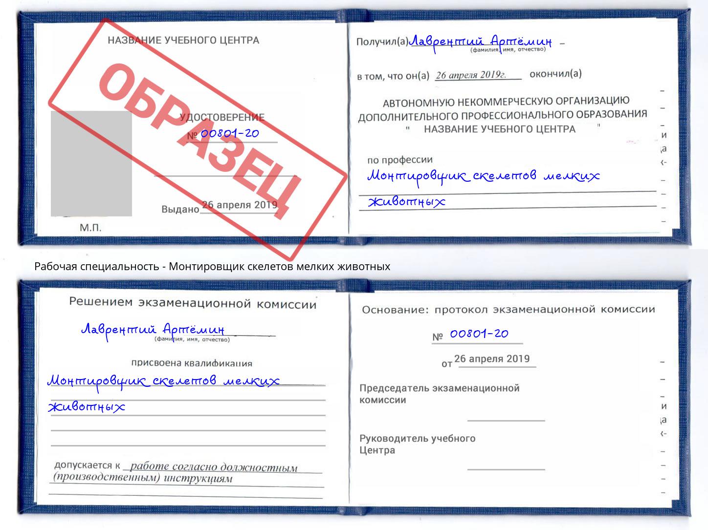 Монтировщик скелетов мелких животных Киров