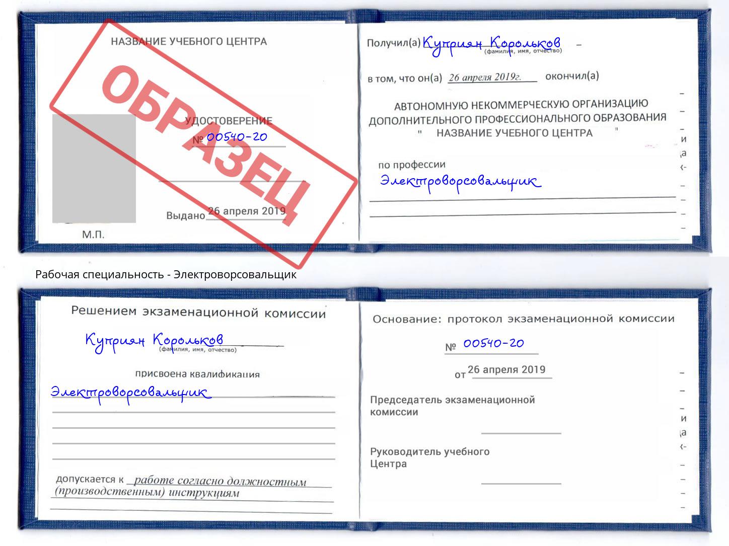 Электроворсовальщик Киров